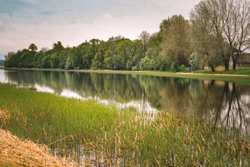 wild meadow flowers, natural scenery with river