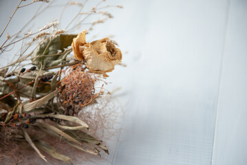 白い背景とドライフラワー