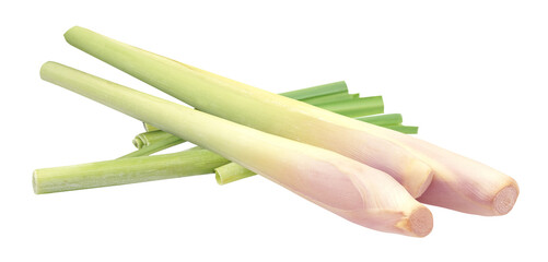 Fresh Lemon grass isolated. PNG transparency