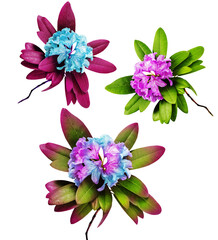 Obraz premium Beautiful pink branches with lush Rhododendron flowers and white background. Card for relax and meditation