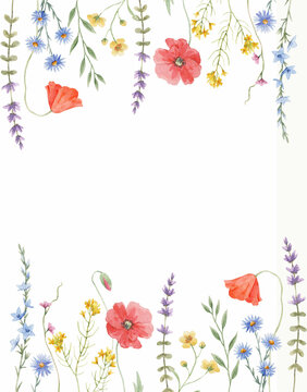 Beautiful floral frame with hand drawn watercolor wild herbs and flowers. Stock illustration.