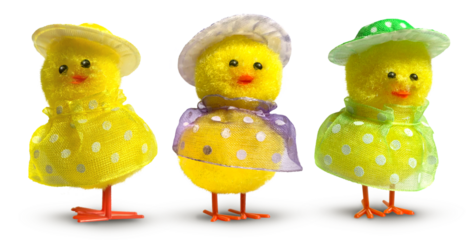 Three cute Easter decoration chicks with funnyt hats and dresses isolated, minimum drop shadow