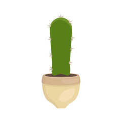 cactus plant in pot illustration 