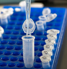 Eppendorf tubes on the rack and pipette. Close up in blue tone