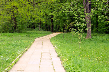 Fototapeta na wymiar Stone paving block walk path in the spring park
