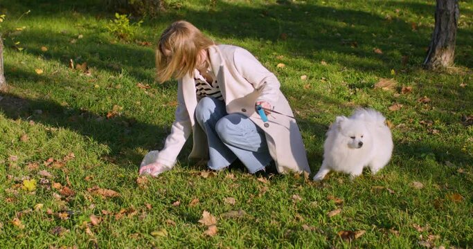 Young woman walking with fluffy dog collects dog poop among fallen leaves on autumn park lawn. Conscientious lady saves urban nature