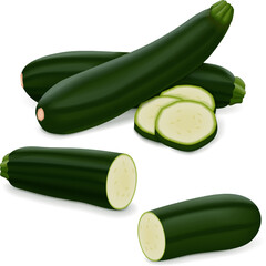 Whole, quarter, slices, wedges of Black Beauty Zucchini or Dark Green Zucchini. Courgette or marrow. Summer squash. Cucubits. Fruits and vegetables. Vector illustration isolated on white background.