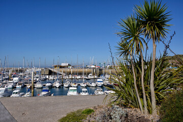 Marina and trees of Treauville, a commune in the Manche department in Normandy in north-western France. 