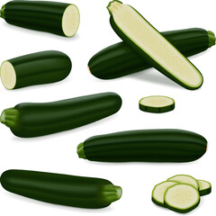 Set of Black Beauty Zucchini or Dark Green Zucchini. Courgette or marrow. Summer squash. Cucurbita pepo or cucubits. Raw fruits and vegetables. Vector illustration isolated on white background.