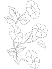 hand drawn simple flower coloring pages for kids and adult