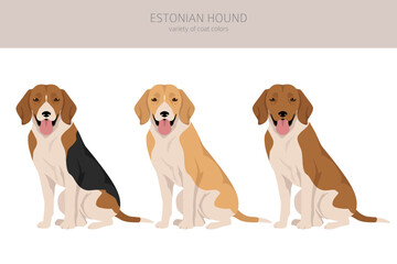 Estonian Hound clipart. Different coat colors set
