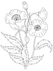 hand drawn simple flower coloring pages for kids and adult