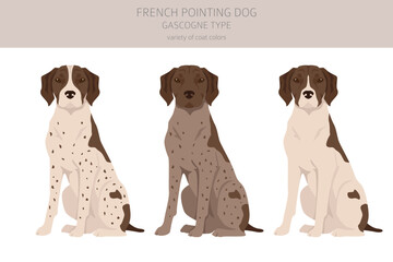 French pointing dog, Gascogne type clipart. Different poses, coat colors set