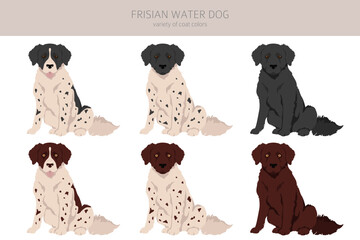 Frisian water dog clipart. Different poses, coat colors set