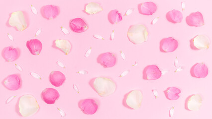 Pink and white natural petals of rose and chamomile flowers on a pastel pink background. Floral flat greeting card.