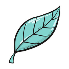 cute hand drawn green leaf. PNG spring and gardening doodle, clip art, sticker, etc. 