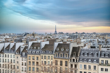 Fototapeta na wymiar Paris, typical roofs with the Eiffel tower