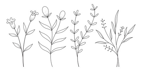 Set of minimal hand drawn botanical floral elements. Branches and leaves