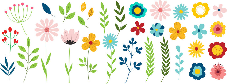 Flower elements. Doodle plants, leaves flowers and branches set. Illustration branch plant and flower silhouette on transparent background. PNG image 