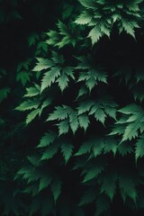Close up of green plants leaves on black background created using generative ai technology