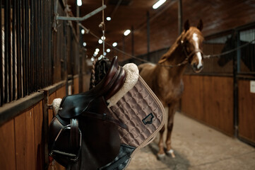 Fototapeta Selective focus on saddle in contemporary horse stalls obraz