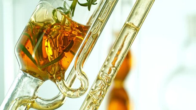 Getting essential oil from natural substances and flowers. Yellow oil flows in a spiral. Super slow motion filmed on high speed cinematic camera.