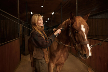 Horsewoman combing mane of her brown thoroughbred horse in stable