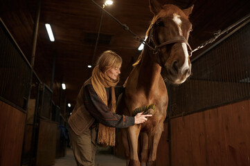 Closeup portrait of happy horsewoman cleaning her stallion with brush