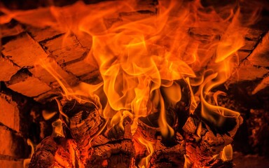 A few birch logs burning in the fireplace
