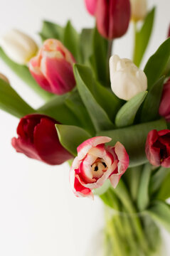 Blurred image of a bouquet with red and pink tulips.