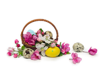 Easter decoration. Basket with Easter eggs and flowers apple tree on a white background with space for text