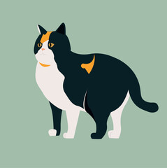 cat with a background.cat . cat vector illustration