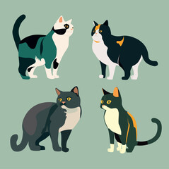set of cats. cats . cat vector illustration