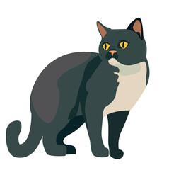 cartoon cat . cat vector illustration