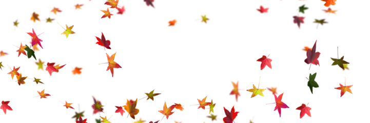 frame from colorful fall leaves in motion in autumn wind on transparent background, natural overlay texture for fall season