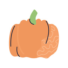 Pumpkin PNG image icon with transparent background