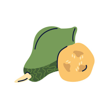 Pumpkin PNG image icon with transparent background
