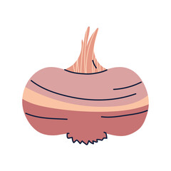 png image onion icon on transparent background