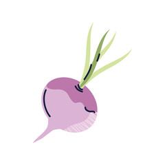 png image onion icon on transparent background