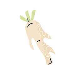 Ginseng PNG image icon transparent background