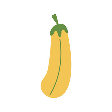 Yellow zucchini PNG image icon with transparent background
