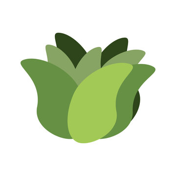 PNG image cooking herbs icon transparent background
