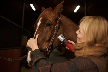 Young satisfied woman grooming horse with electric shaver in ranch stable