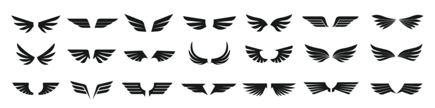 Wing icon. Wing icon set. Vector emblem