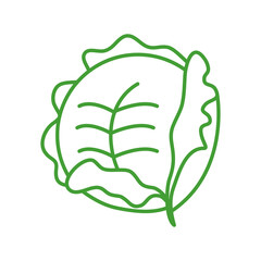 
cabbage icon PNG image with transparent background