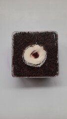 black forest birthday cake food top view on white background. cake shop background concept, store, market, celebration, memory, symbol, culinary, restaurant, pastry, snack, pastries, business