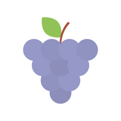 Grapes PNG image icon with transparent background