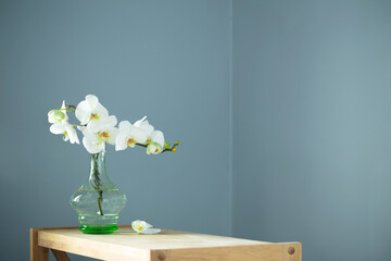 white orchid in vintage glass vase on wooden shelf on background wall - obrazy, fototapety, plakaty