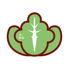 cabbage icon PNG image with transparent background