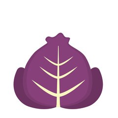 Cabbage PNG image icon with transparent background